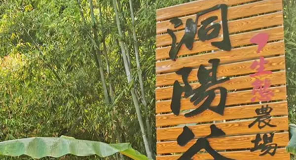 廣有合頁(yè)2019踏春拓展--經(jīng)歷中成長(zhǎng)，成長(zhǎng)中經(jīng)歷