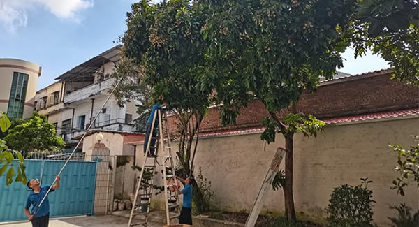 廣有儲良龍眼，詮釋濃情盛夏|廣有五金&東莞合頁?