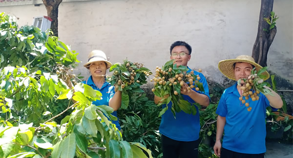 摘一顆龍眼，品一份團(tuán)圓，謝一次饋贈 | 廣有五金&東莞合頁?